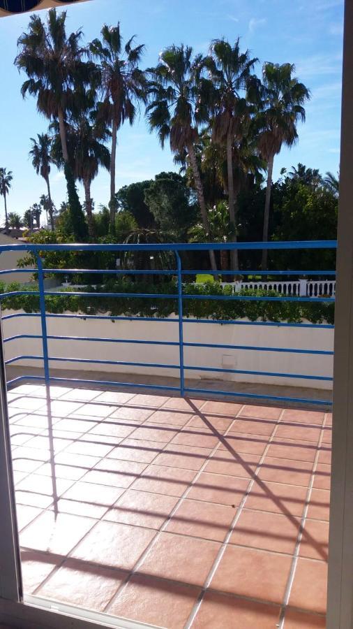One Bedroom Appartement At L'Eucaliptus 400 M Away From The Beach With Sea View Shared Pool And Furnished Terrace Bagian luar foto